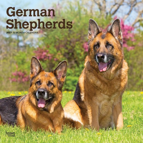 German shepherds 2027 calendar - shepherds,