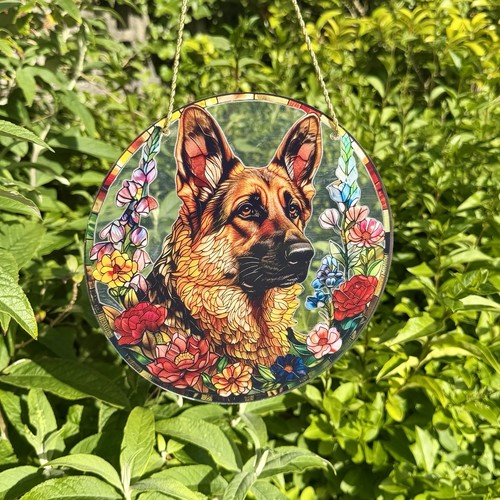 Alsatian german shepherd dog - alsatian,
