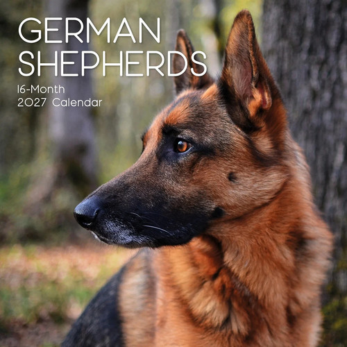 2027 german shepherd dog - german,