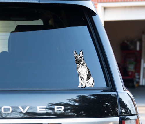 German shepherd dog alsation - german,