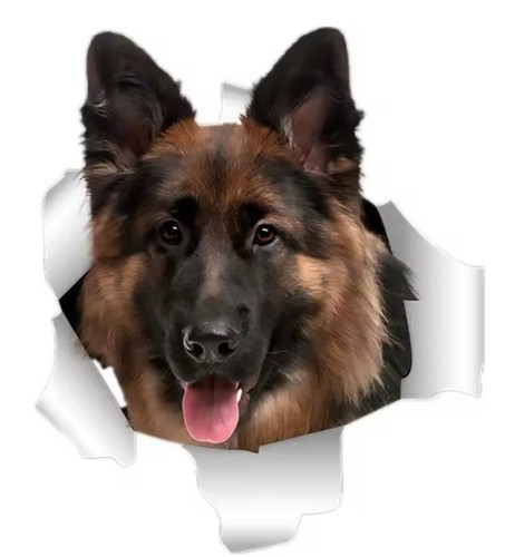 German shepherd waterproof - german,