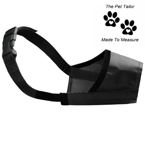 German shepherd dog - german,