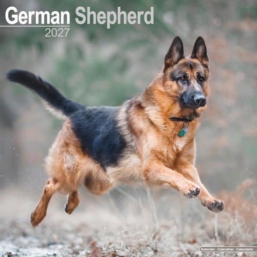 German shepherd 2027 calendar - shepherd,