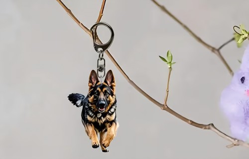 Lovely german shepherd running - german,