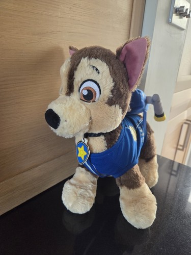 Build bear nickelodeon - a, chase