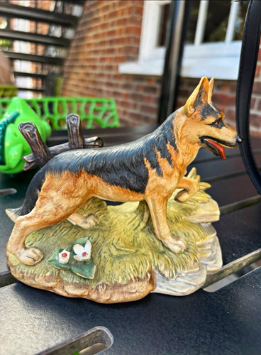 Alsatian german shepherd dog - alsatian/german,