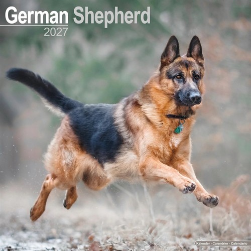 German shepherd calendar - german,