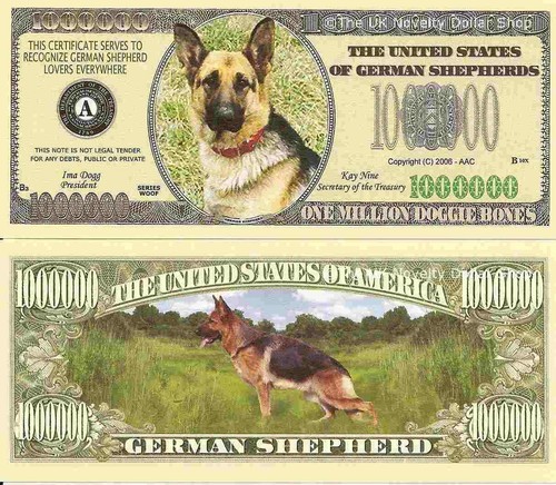 German shepherd alsatian dog - german,