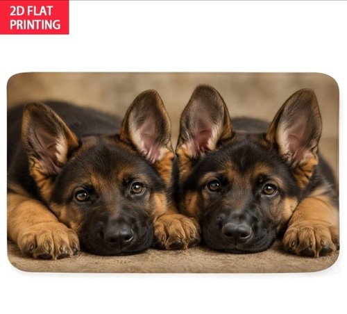 Gorgeous german shepherd dog - german,