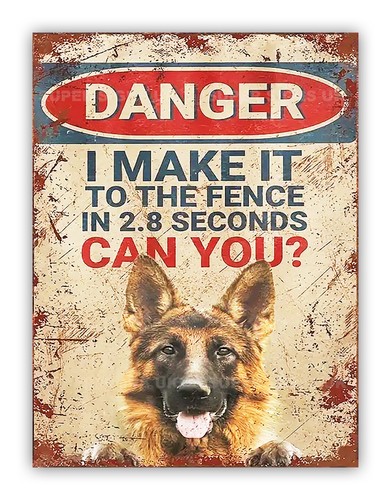 Funny german shepherd - funny, "dog