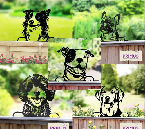 Metal peeking dog pet - pet, fence