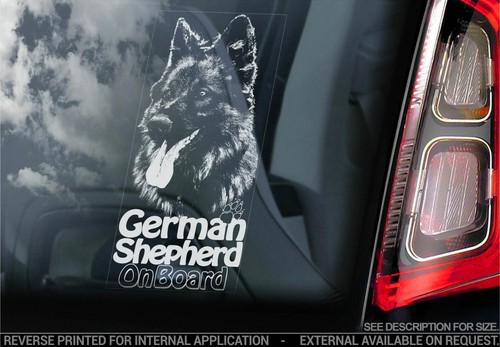German shepherd car - german,