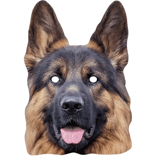German shepherd alsatian - shepherd,