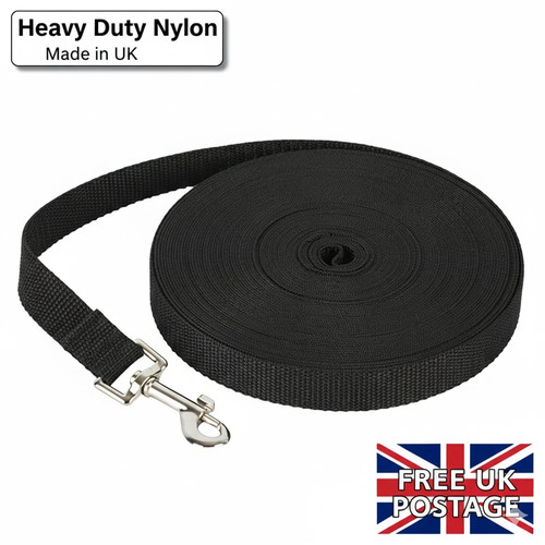 Extra long dog - training, lead