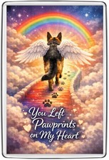 🐾German Shepherd Rainbow