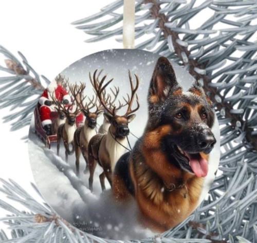 Alsatian german shepherd dog - shepherd,