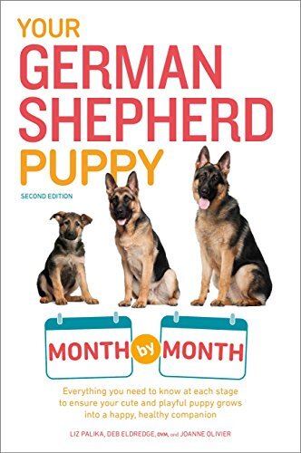 Your german shepherd puppy - shepherd,