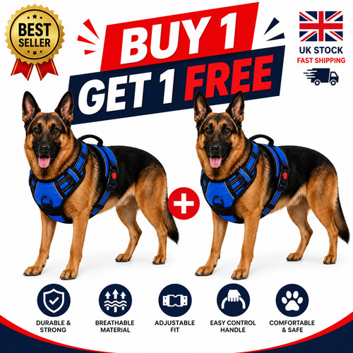 Blue german shepherd harness - blue,