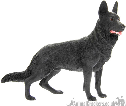 Black alsatian german shepherd - alsatian,