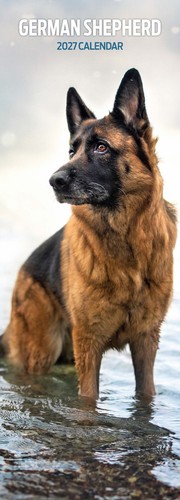 German shepherd 2027 slim - 2027,